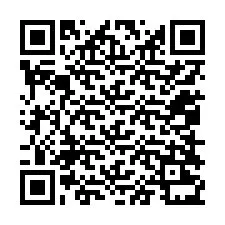 QR код за телефонен номер +12058231293