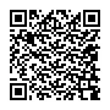 QR-code voor telefoonnummer +12058388076