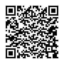 QR-code voor telefoonnummer +12058388077