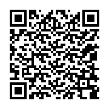 QR-code voor telefoonnummer +12058388091