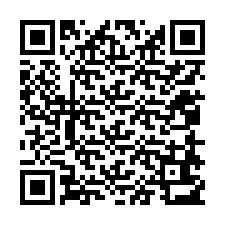 QR код за телефонен номер +12058613002