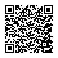 QR-code voor telefoonnummer +12058613978