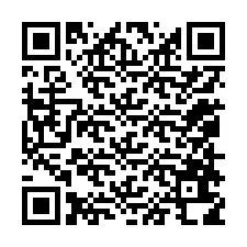 QR Code สำหรับหมายเลขโทรศัพท์ +12058618779