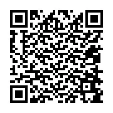 QR-code voor telefoonnummer +12058685383