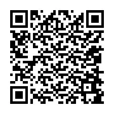 QR-Code für Telefonnummer +12058685386