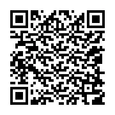 QR-code voor telefoonnummer +12058706228