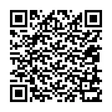 Codice QR per il numero di telefono +12058731043