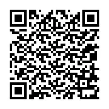 Codice QR per il numero di telefono +12058731044