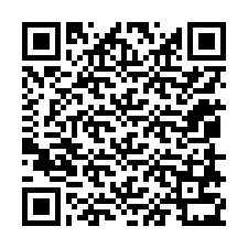 QR код за телефонен номер +12058731045