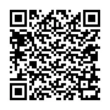 QR код за телефонен номер +12058731046