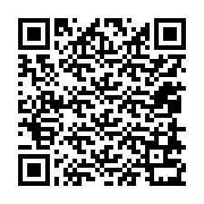 Código QR para número de telefone +12058731047