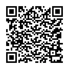 QR код за телефонен номер +12058731048