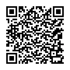 QR-koodi puhelinnumerolle +12058731051