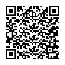 QR Code for Phone number +12058731053
