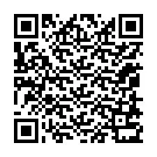 Código QR para número de telefone +12058731055