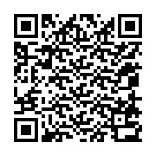 QR Code pour le numéro de téléphone +12058732900