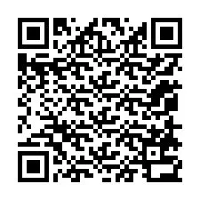 QR-Code für Telefonnummer +12058732915