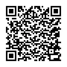 QR-код для номера телефона +12058732918