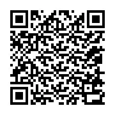 QR код за телефонен номер +12058732919