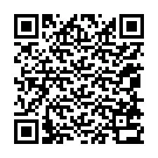 QR-code voor telefoonnummer +12058732920