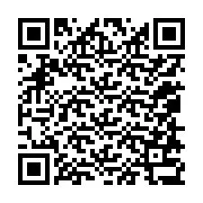 Codice QR per il numero di telefono +12058737178