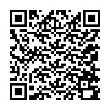 QR код за телефонен номер +12058790734