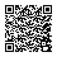 QR-Code für Telefonnummer +12058790739