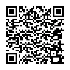 QR-code voor telefoonnummer +12058790743