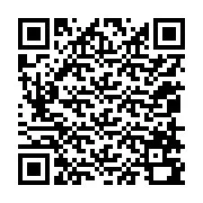 QR-koodi puhelinnumerolle +12058790744