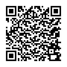 QR-Code für Telefonnummer +12058790745