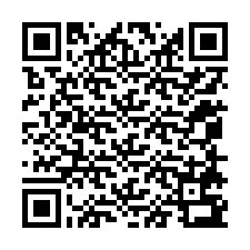 QR-code voor telefoonnummer +12058793820