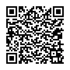 QR-Code für Telefonnummer +12059061443