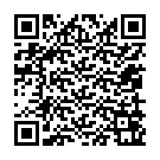 QR-koodi puhelinnumerolle +12059061447