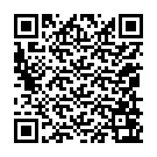 QR-код для номера телефона +12059063774