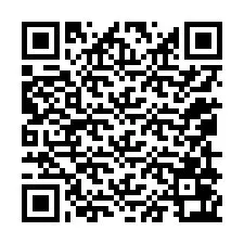 QR kód a telefonszámhoz +12059063778