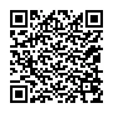 Codice QR per il numero di telefono +12059074391