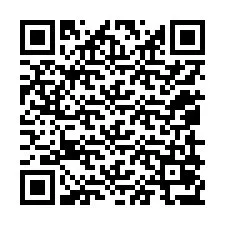 QR-koodi puhelinnumerolle +12059077258