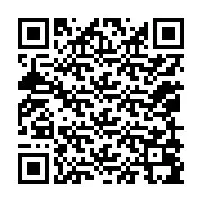 QR Code for Phone number +12059095129