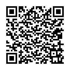 QR-code voor telefoonnummer +12059161406