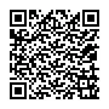 QR-code voor telefoonnummer +12059161409