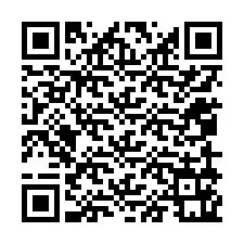 QR-koodi puhelinnumerolle +12059161412