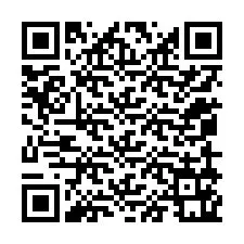 QR kód a telefonszámhoz +12059161414