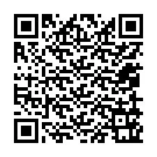 QR Code pour le numéro de téléphone +12059161417