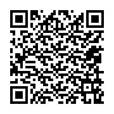 QR kód a telefonszámhoz +12059169477