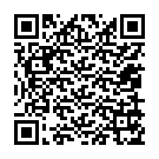 Codice QR per il numero di telefono +12059175887