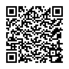 Código QR para número de teléfono +12059182601