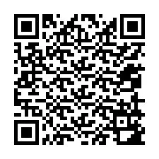 QR kód a telefonszámhoz +12059182603