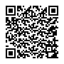 QR kód a telefonszámhoz +12059182606