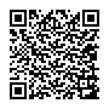 Código QR para número de telefone +12059183896