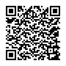 Codice QR per il numero di telefono +12059183899